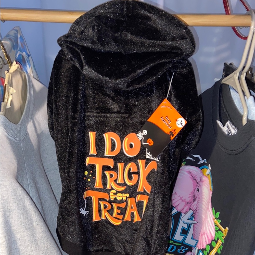 Dog Trick or treat